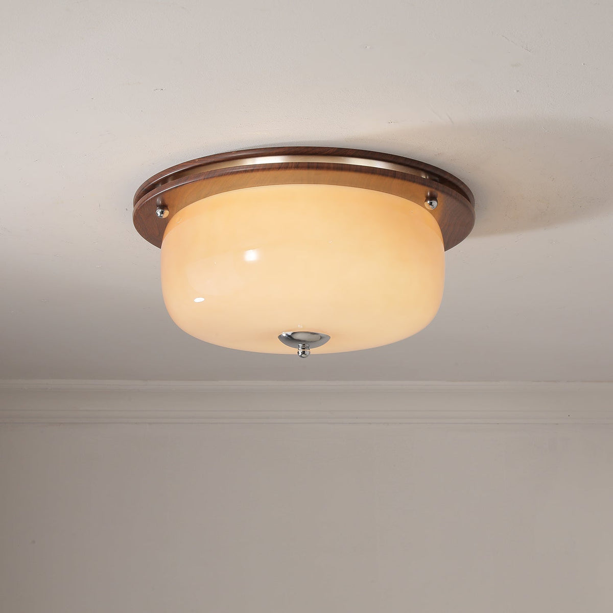 Vetheel Premium Noords Kunstzinnig Koepel Glas Plafondlamp