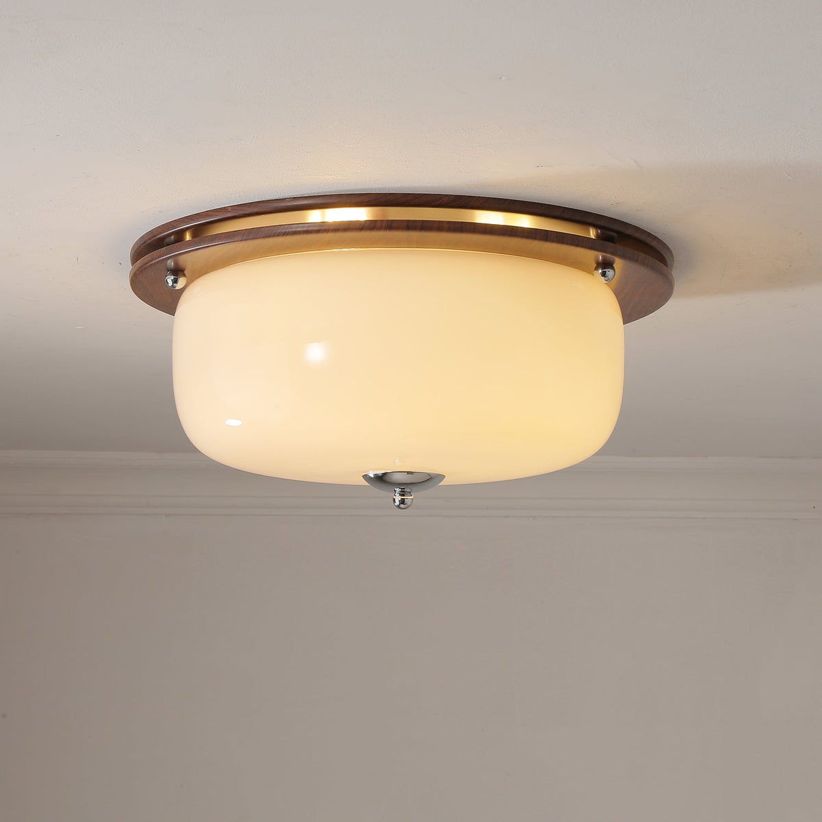 Vetheel Premium Noords Kunstzinnig Koepel Glas Plafondlamp