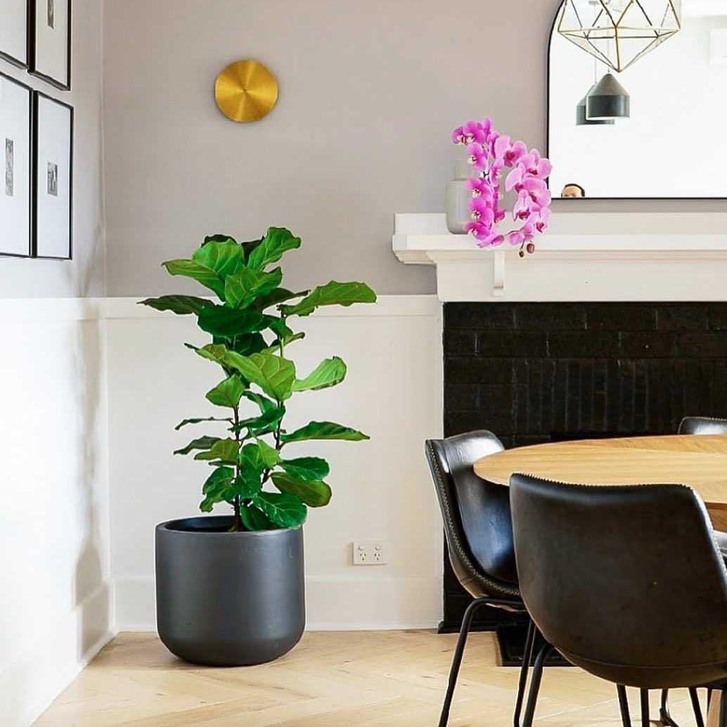 Phelan wandlamp van messing met minimalistisch ontwerp