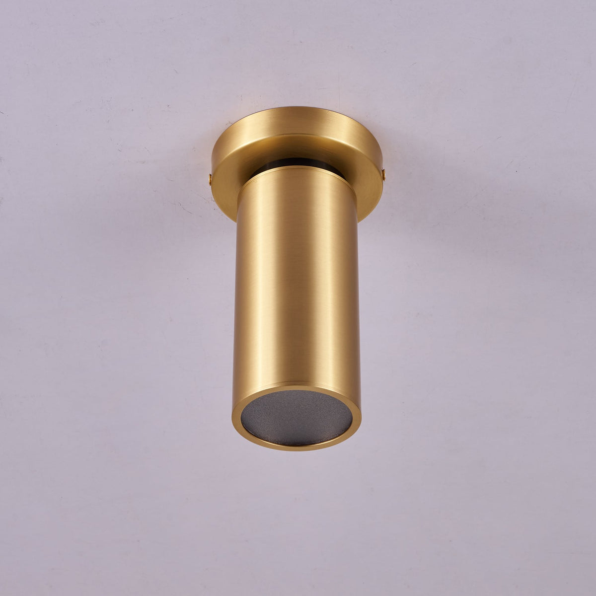 Syloran moderne minimalistische plafondlamp van messing