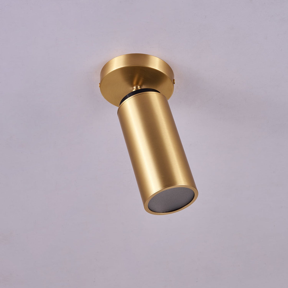 Syloran moderne minimalistische plafondlamp van messing
