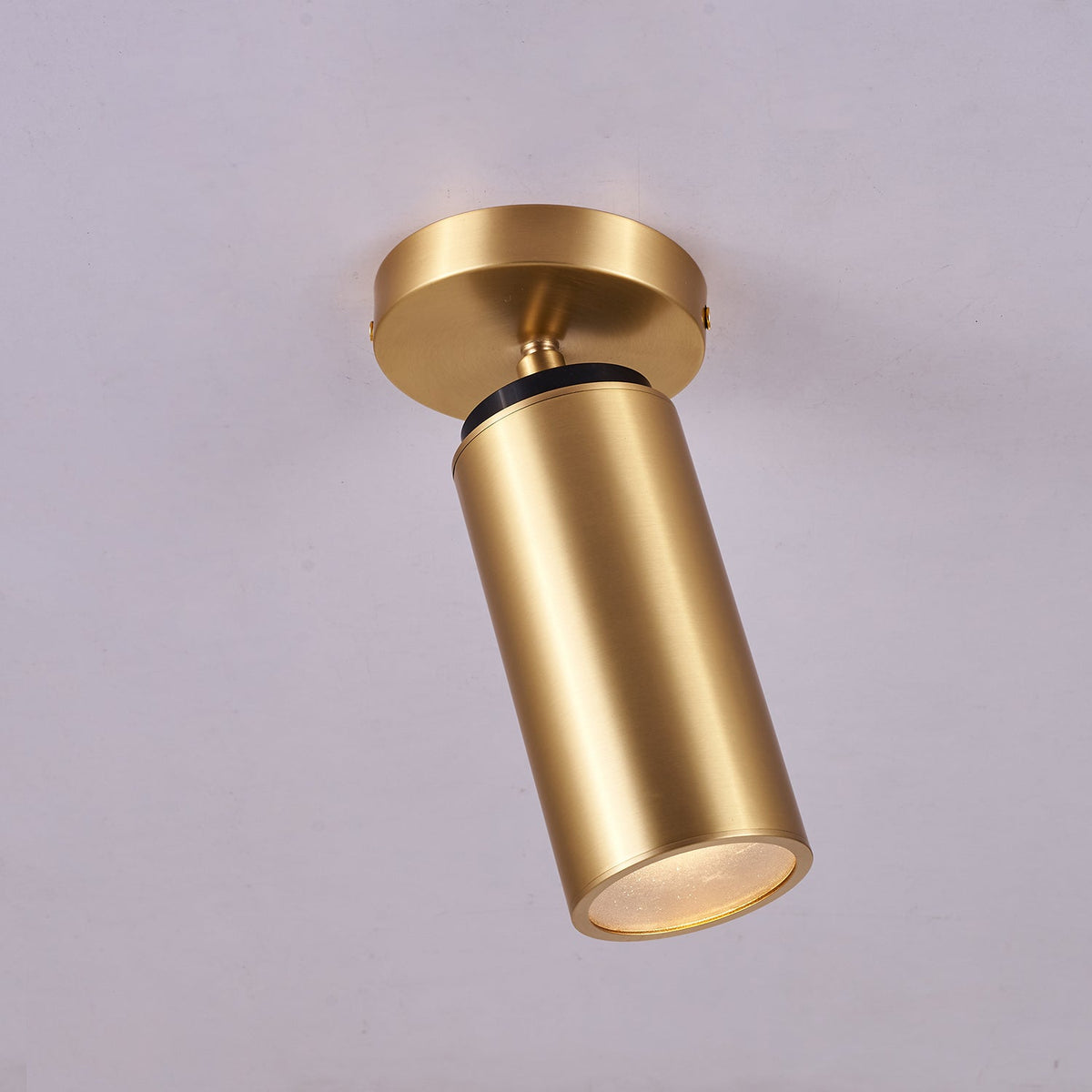 Syloran moderne minimalistische plafondlamp van messing