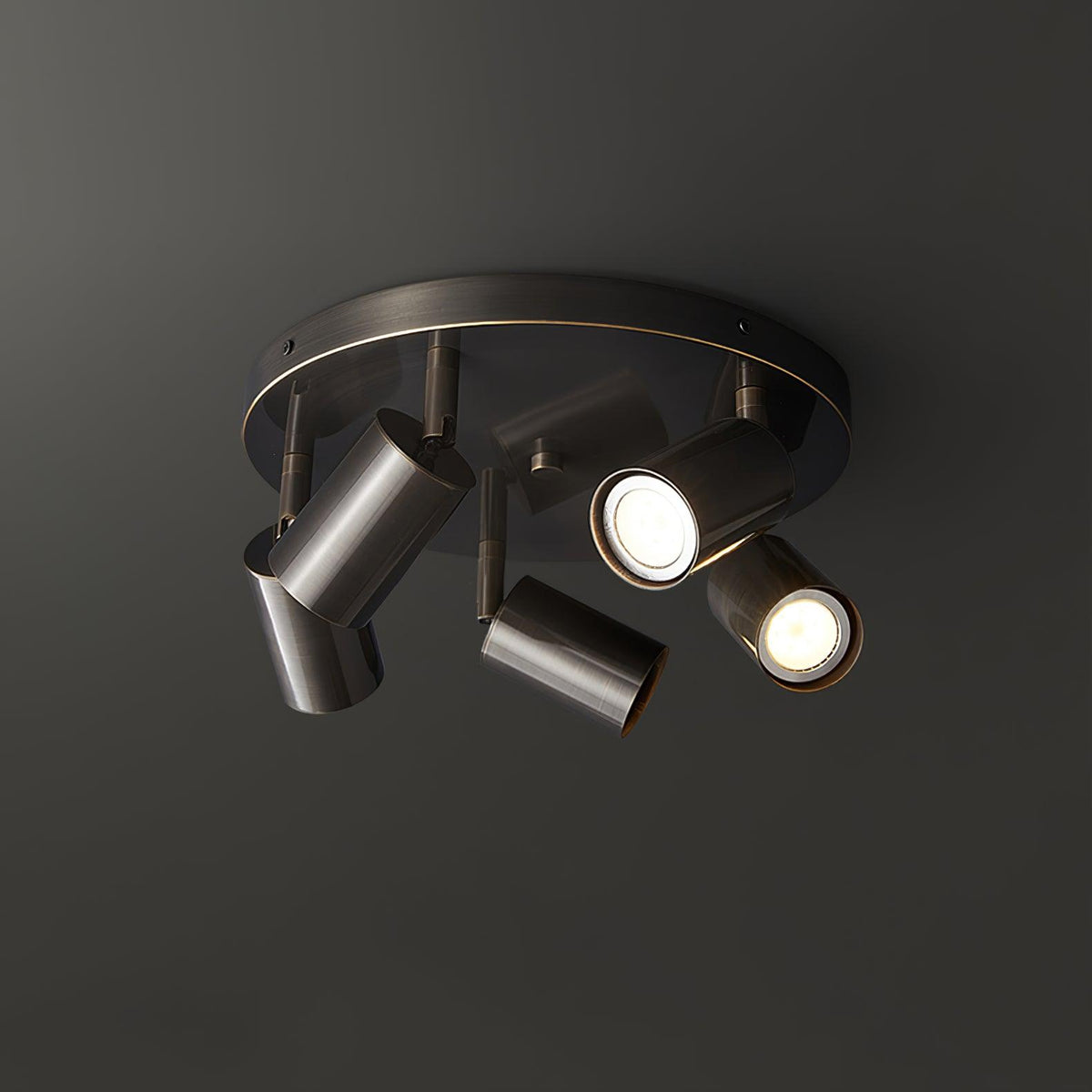 Quin plafondlamp cilindrisch verstelbaar modern