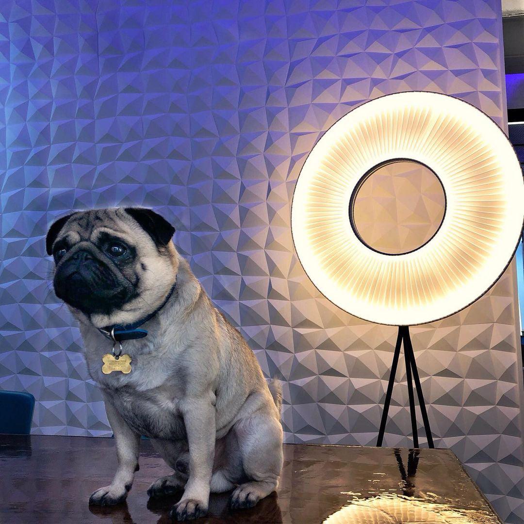 Helen Moderne vloerlamp