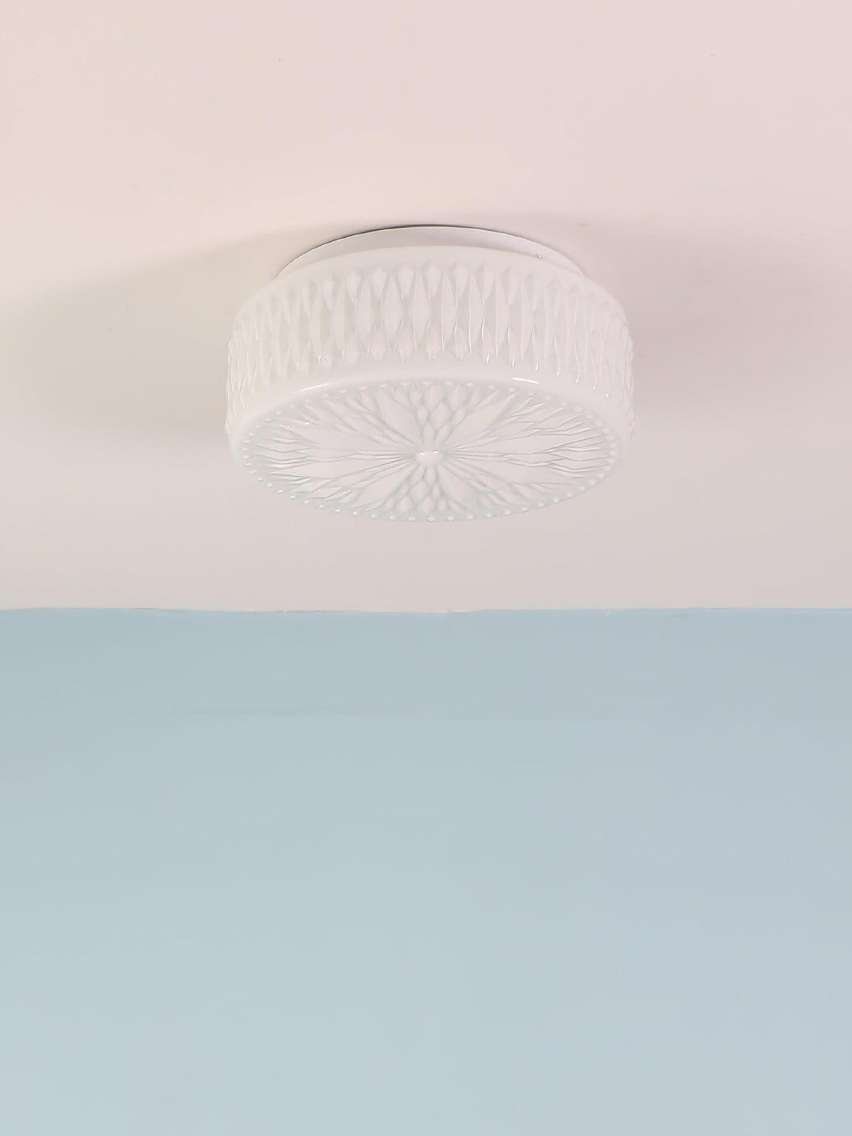 Lioriira plafondlamp glazen kap en acryl moderne maantort