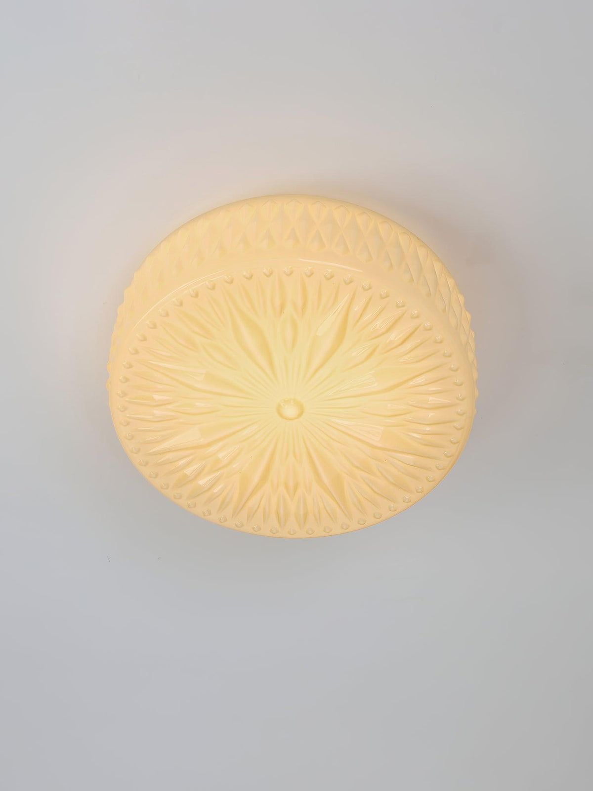 Lioriira plafondlamp glazen kap en acryl moderne maantort