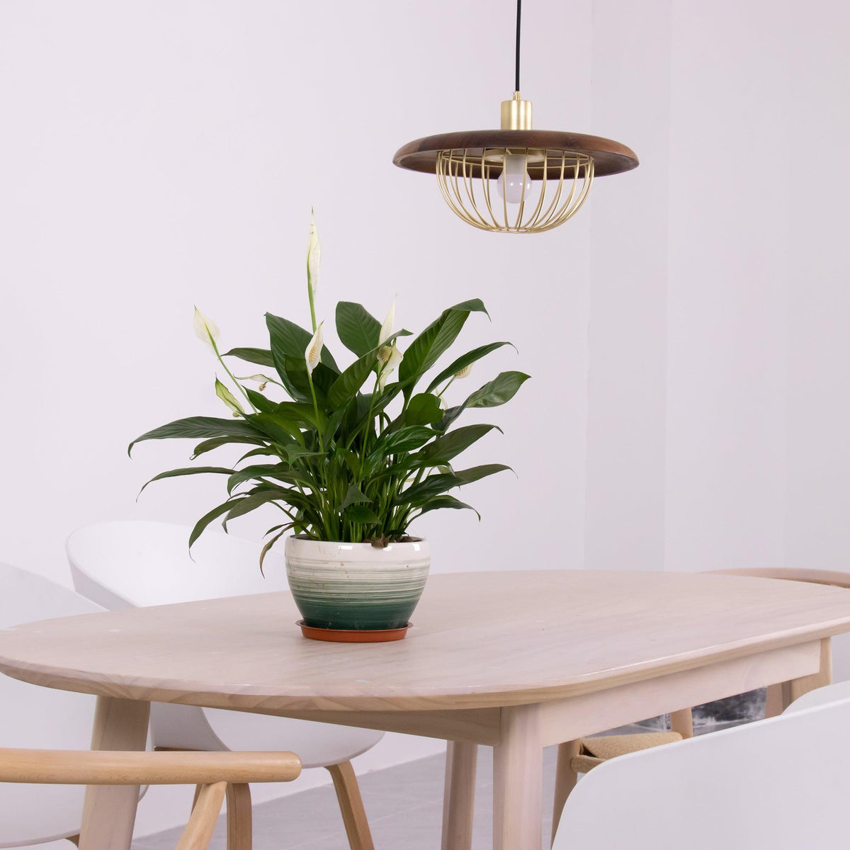 Rinoira Hout Retro Vintage Hanglamp