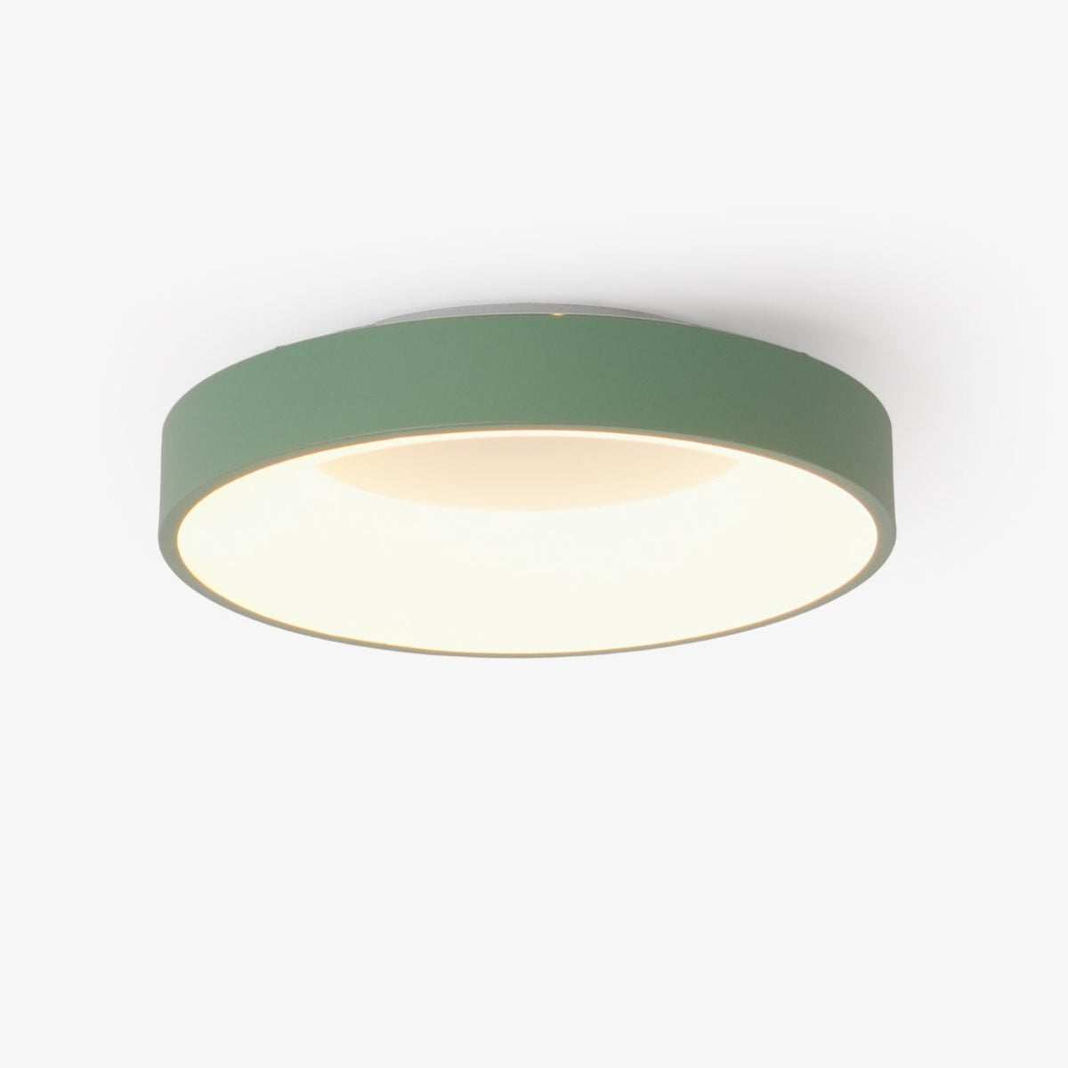 Jareth plafondlamp ijzer hedendaags groene lampenkap
