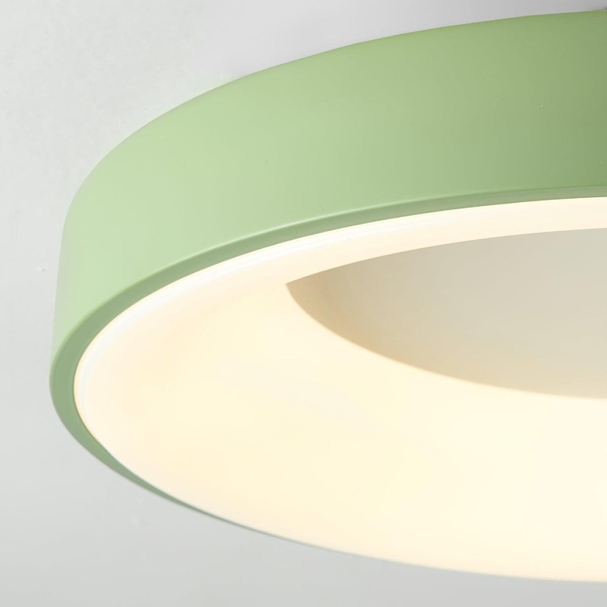 Jareth plafondlamp ijzer hedendaags groene lampenkap