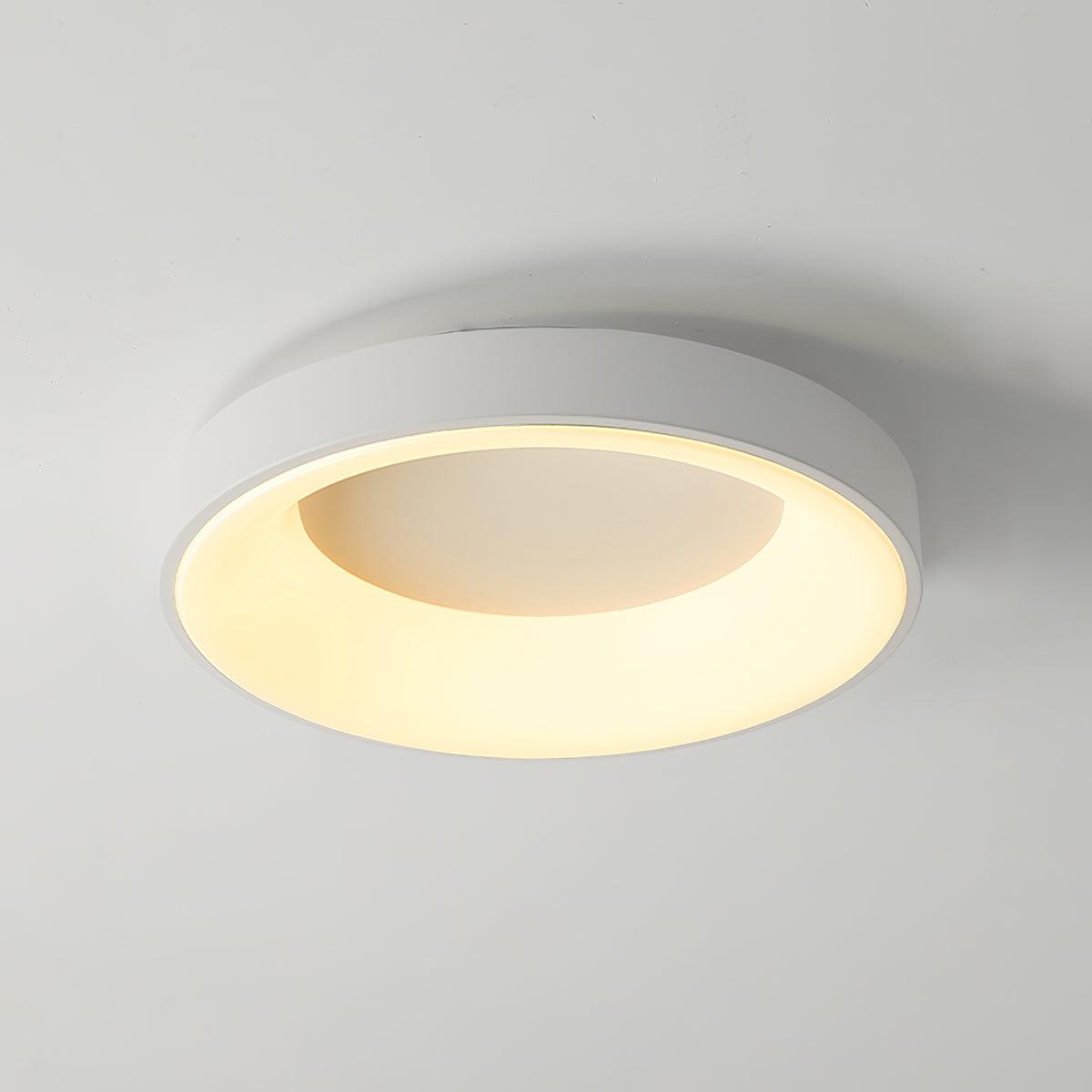 Jareth plafondlamp ijzer hedendaags groene lampenkap