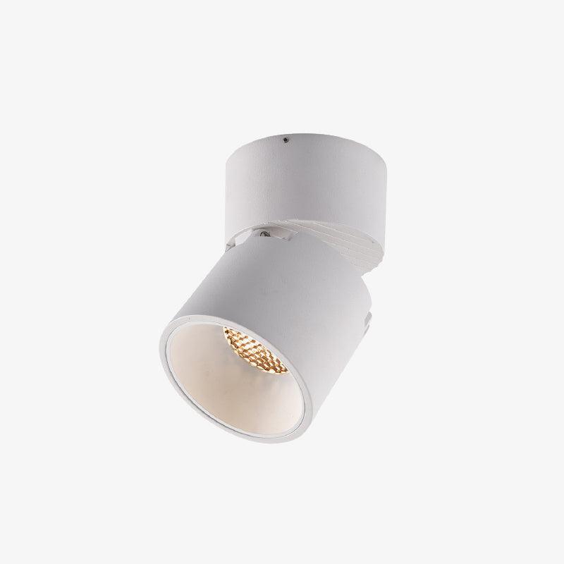 Alvynora Moderne plafondlamp Minimalistisch