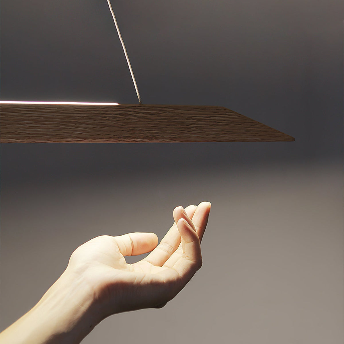Oreloiella hanglamp