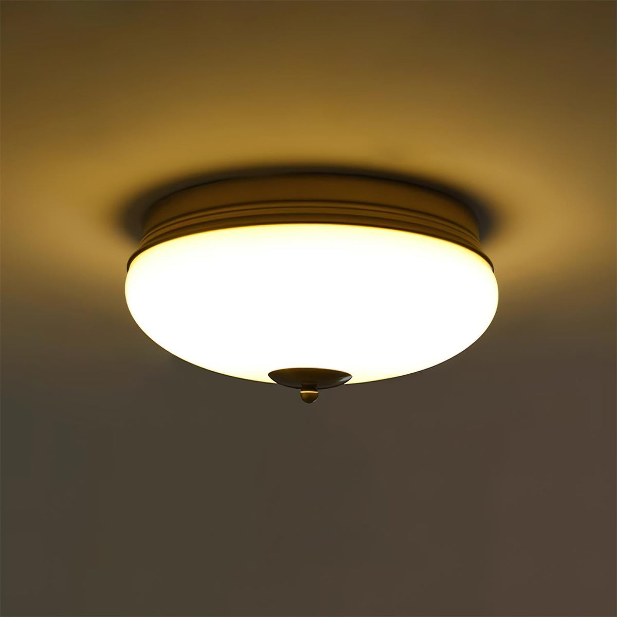 Elairine plafondlamp