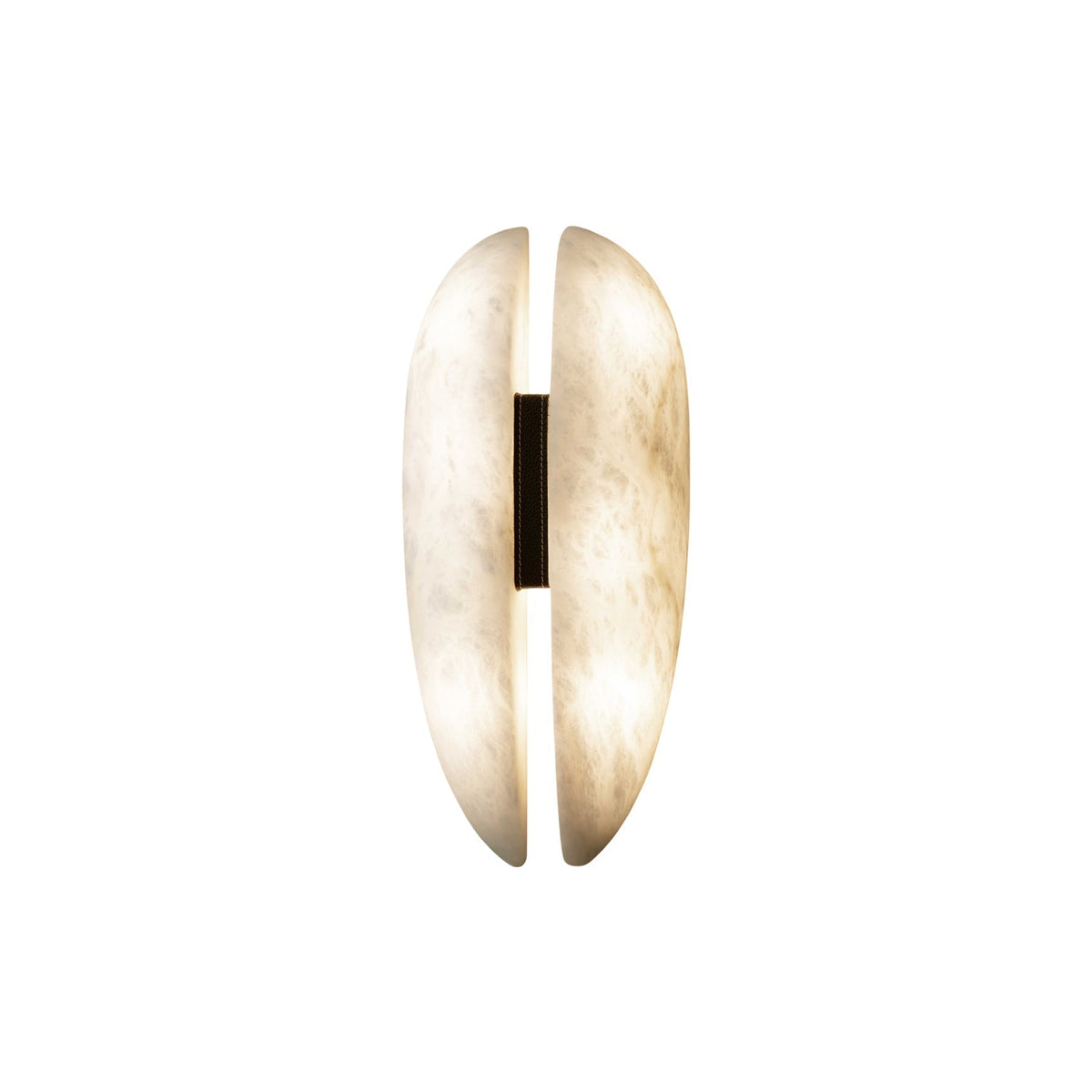 Viraaaria wandlamp