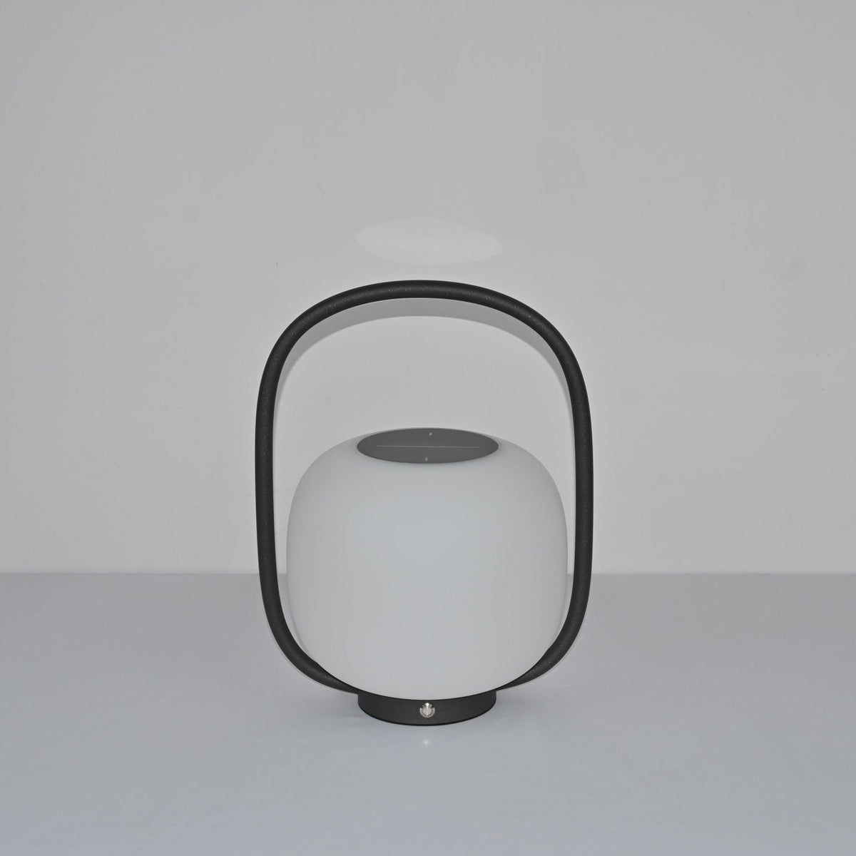Rivoel transparant PE buitenwandlamp
