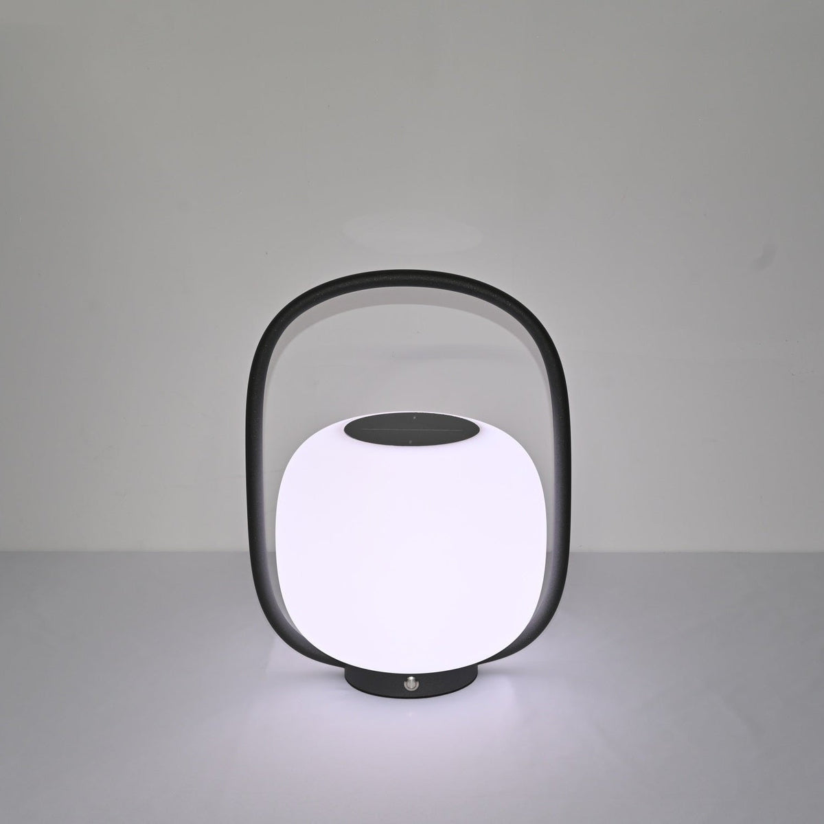 Rivoel transparant PE buitenwandlamp