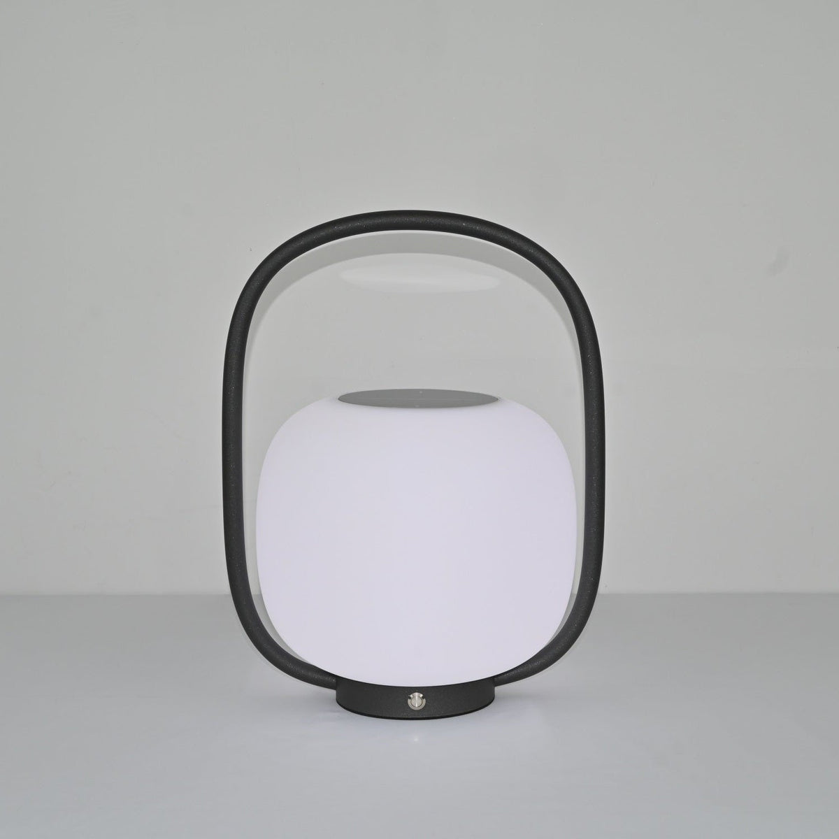 Rivoel transparant PE buitenwandlamp