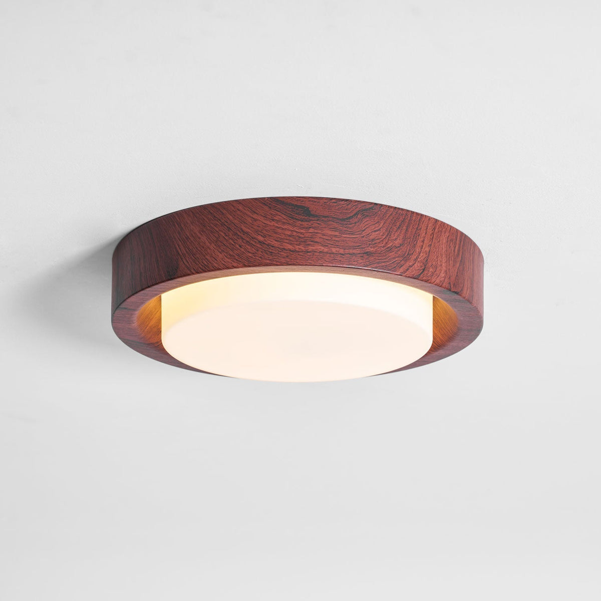 Terienine Lunor Ring plafondlamp