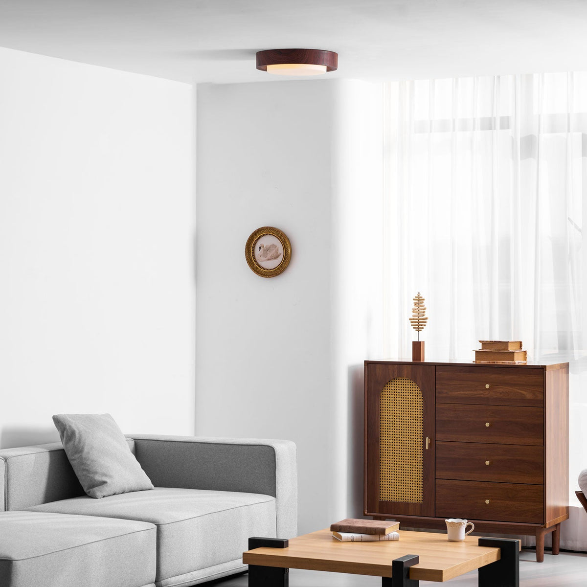 Terienine Lunor Ring plafondlamp