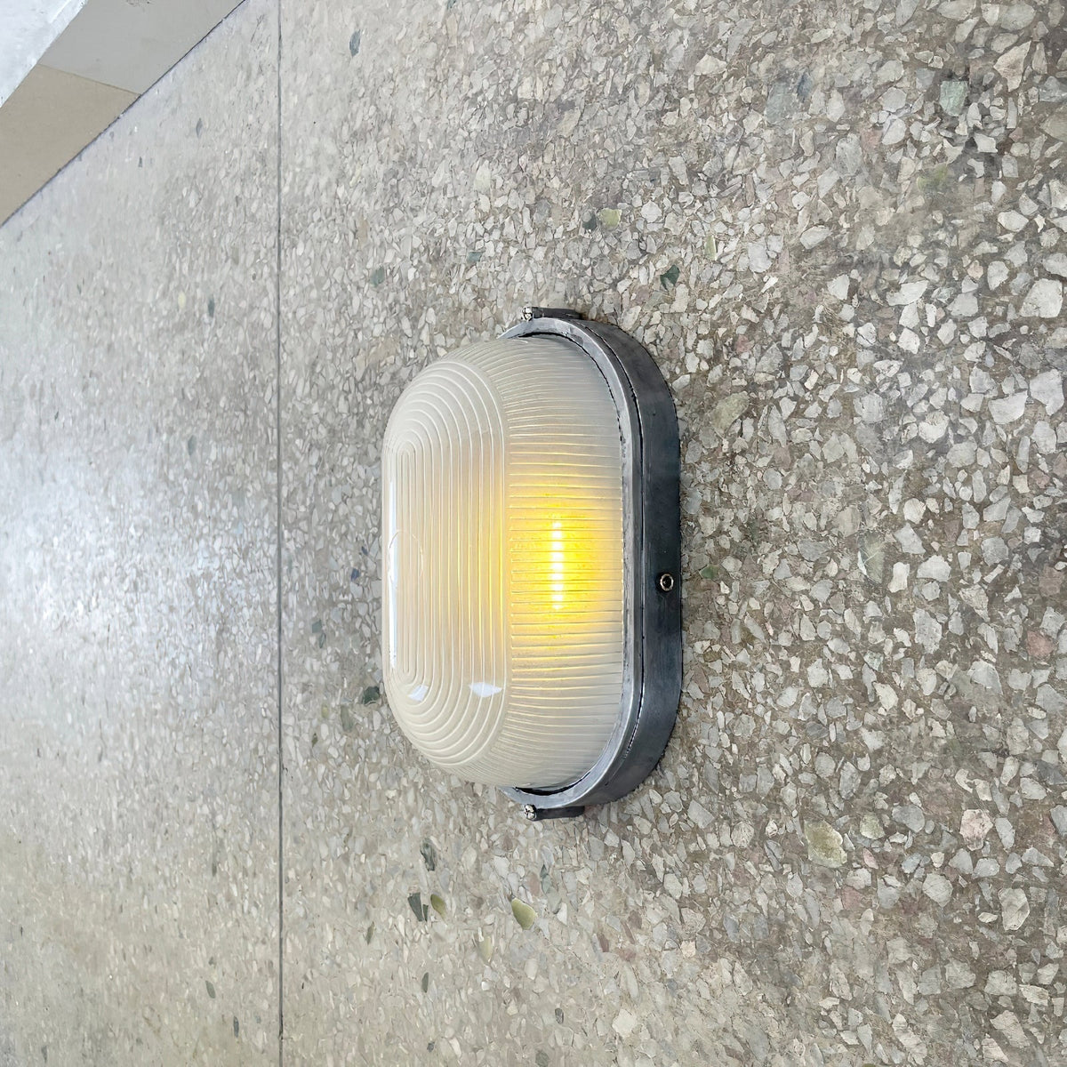 Viraelelia wandlamp