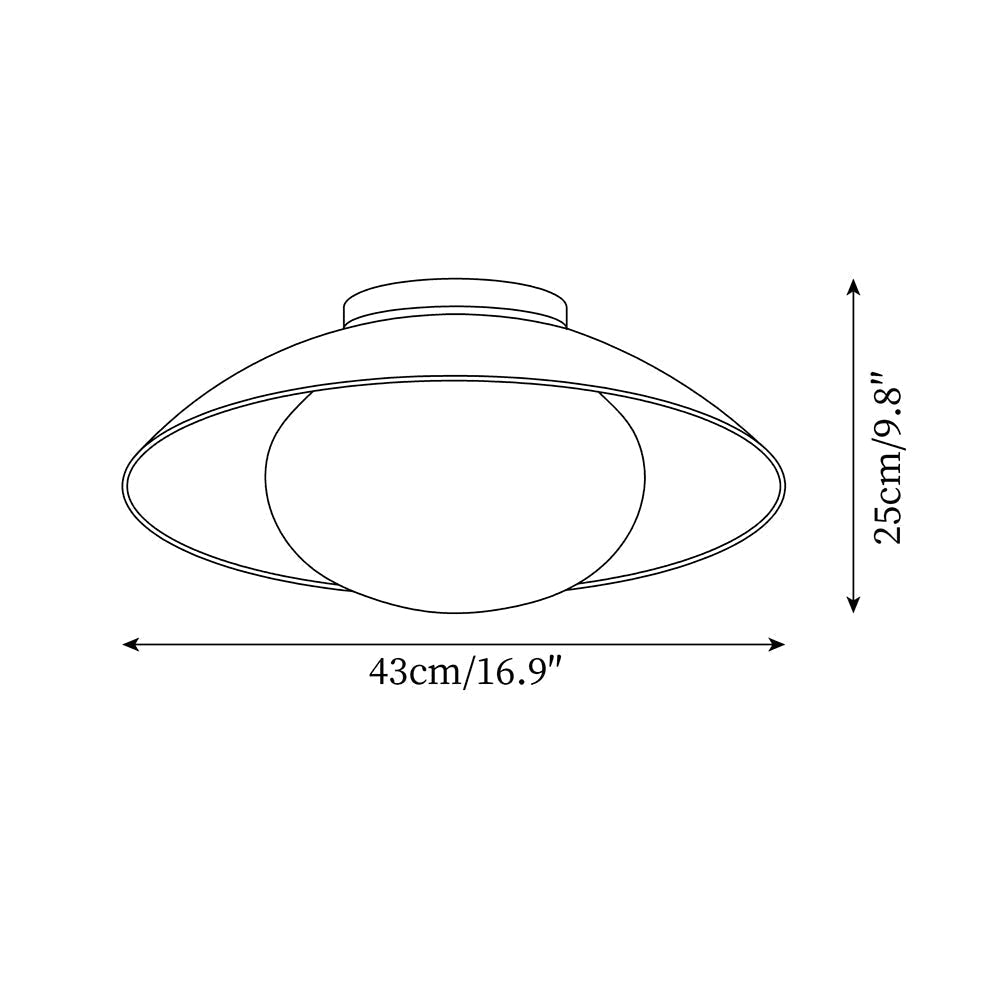 Reneaine plafondlamp