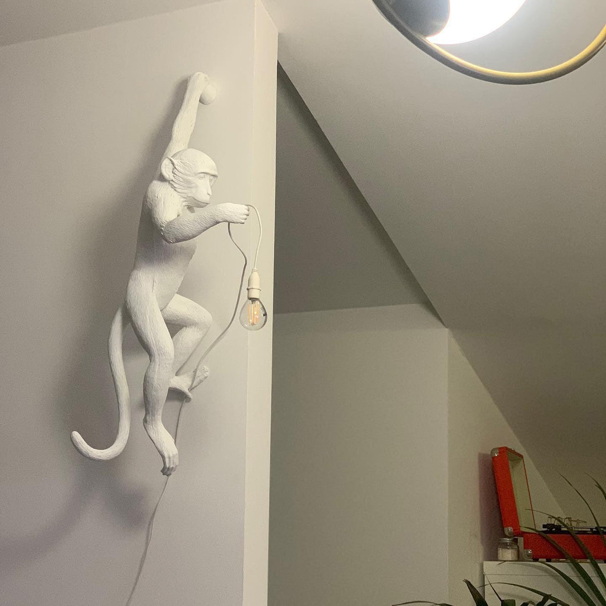 Bnx Art uniek Monkey hars wandlamp