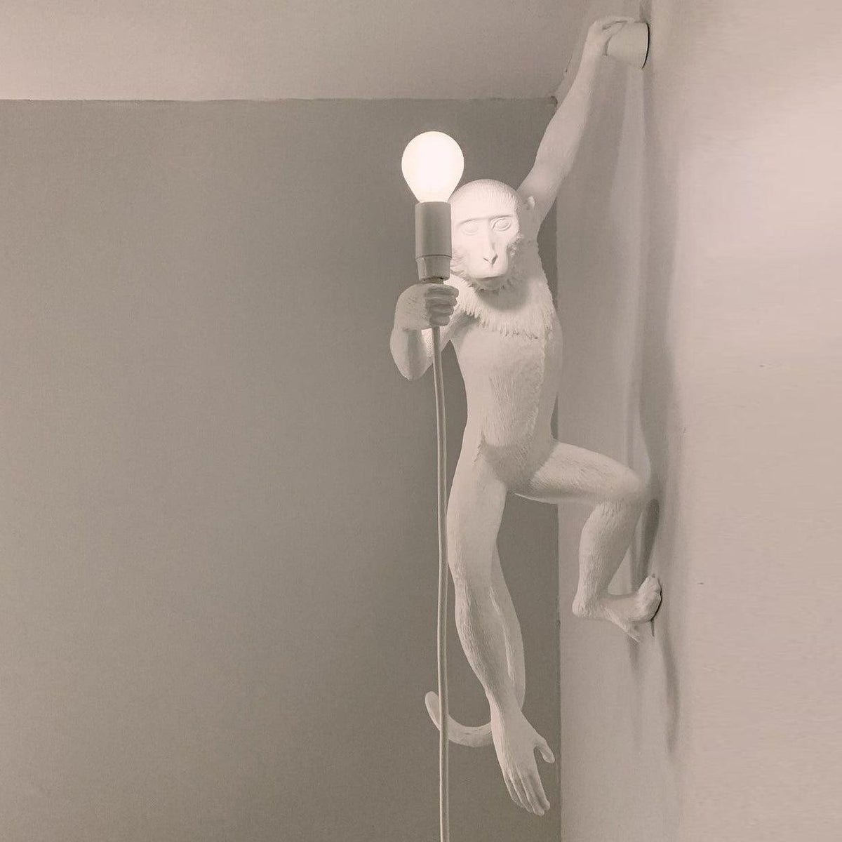 Bnx Art uniek Monkey hars wandlamp