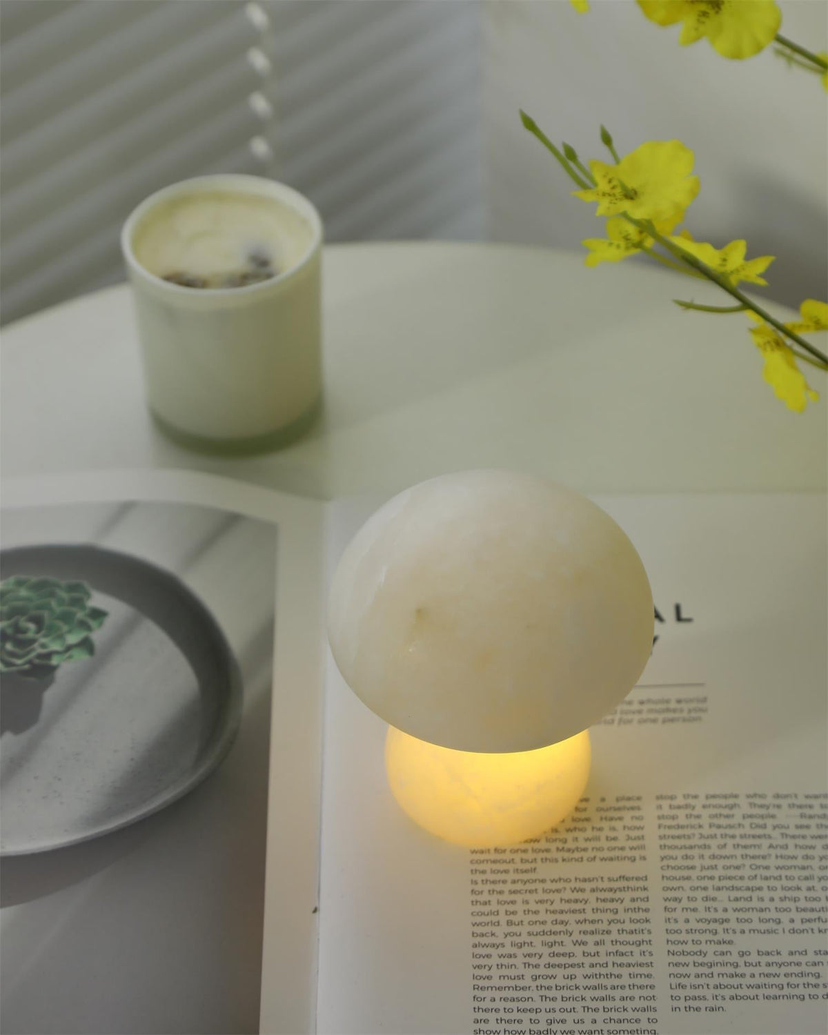 Fungi tafellamp (met ingebouwde batterij)