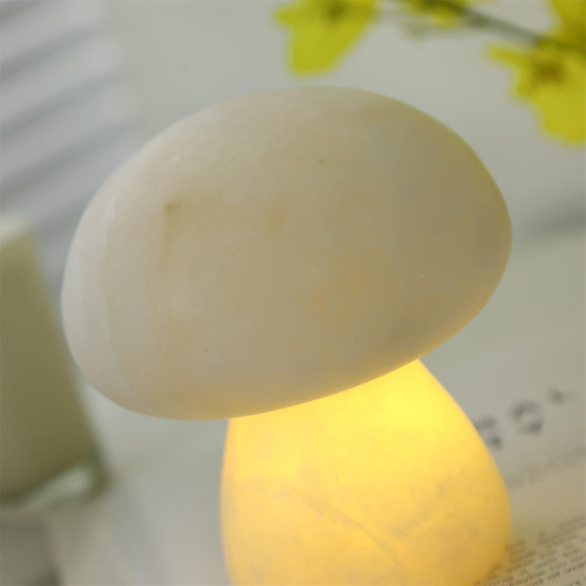 Fungi tafellamp (met ingebouwde batterij)