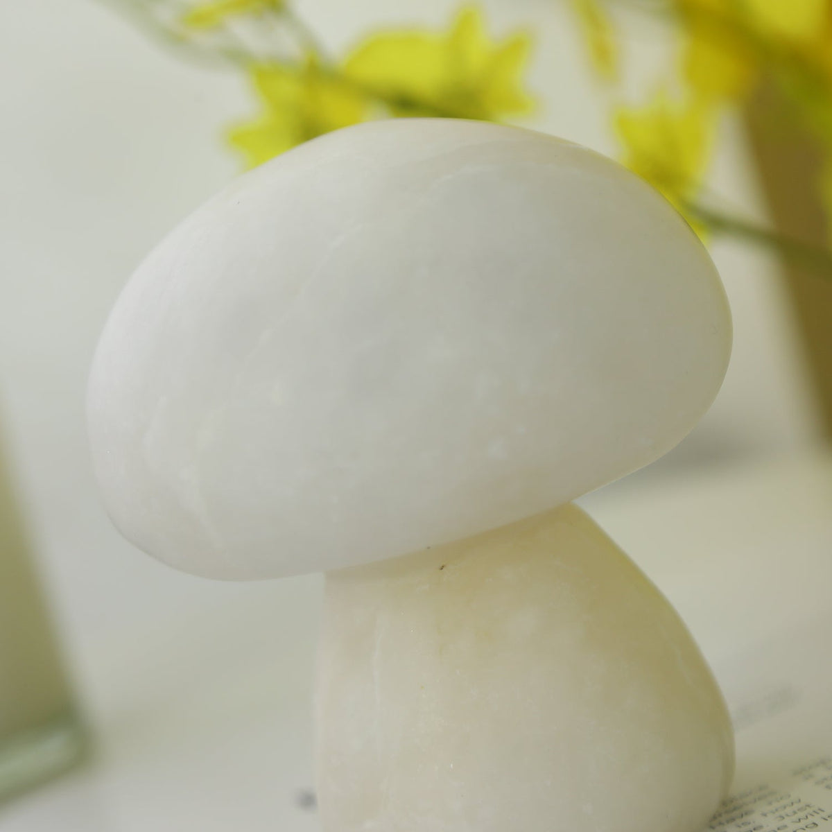 Fungi tafellamp (met ingebouwde batterij)