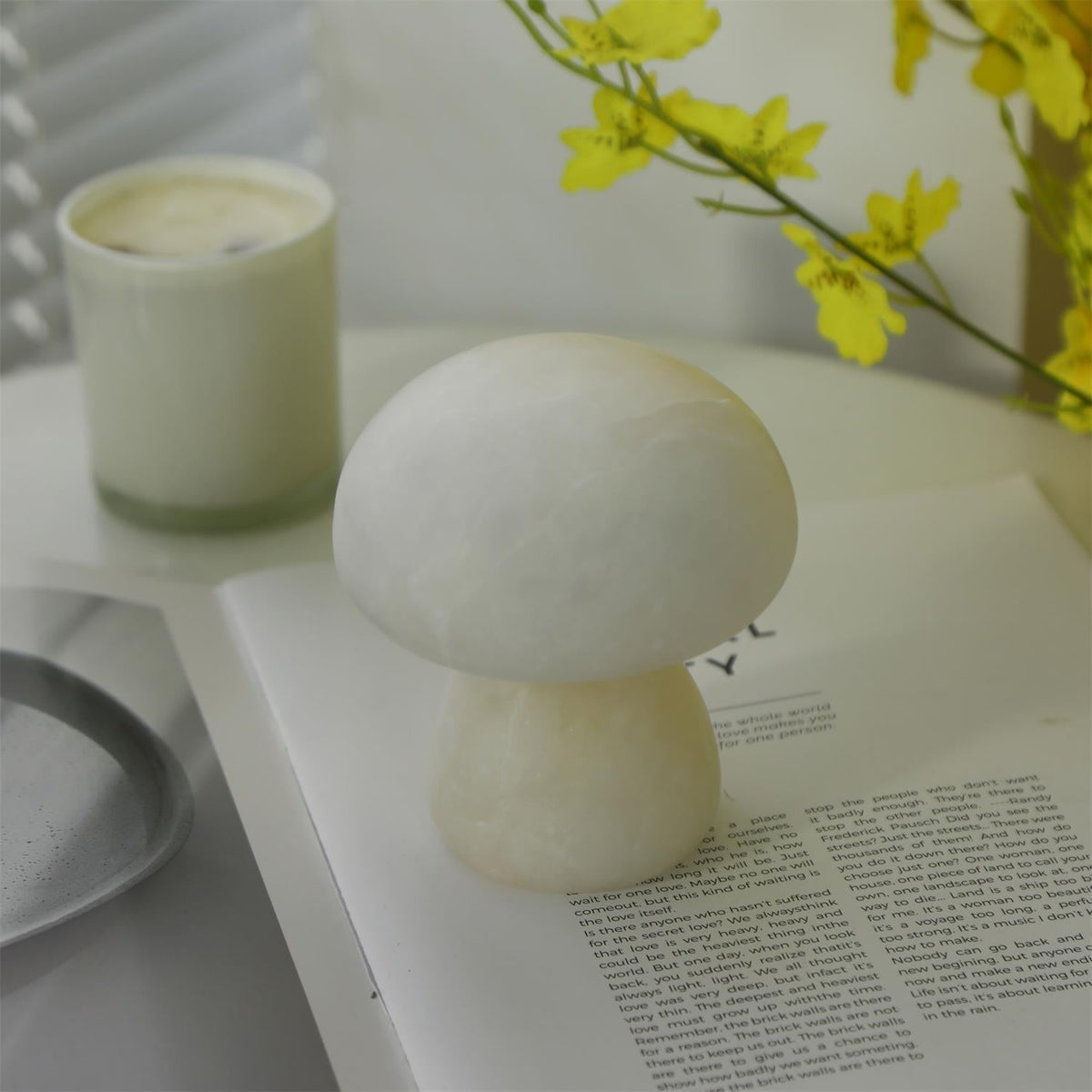 Fungi tafellamp (met ingebouwde batterij)