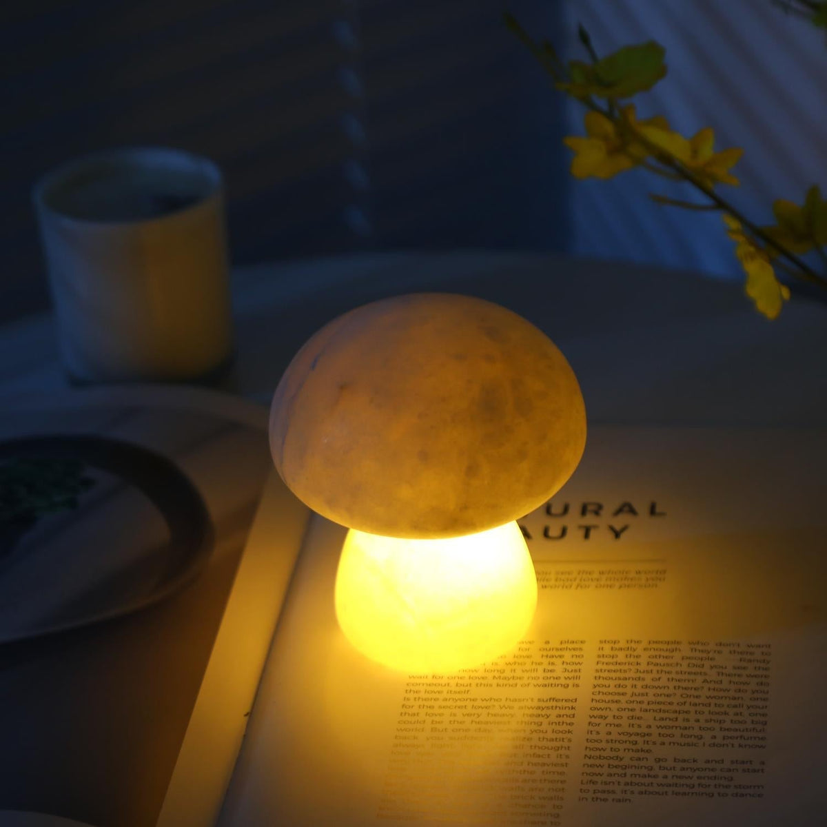 Fungi tafellamp (met ingebouwde batterij)