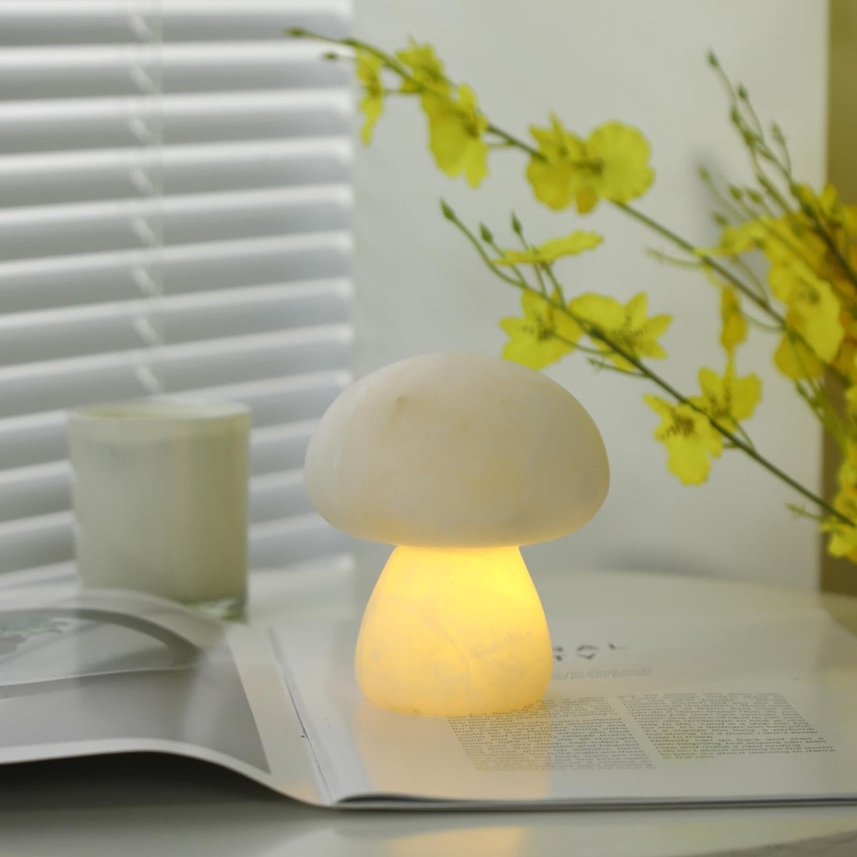Fungi tafellamp (met ingebouwde batterij)