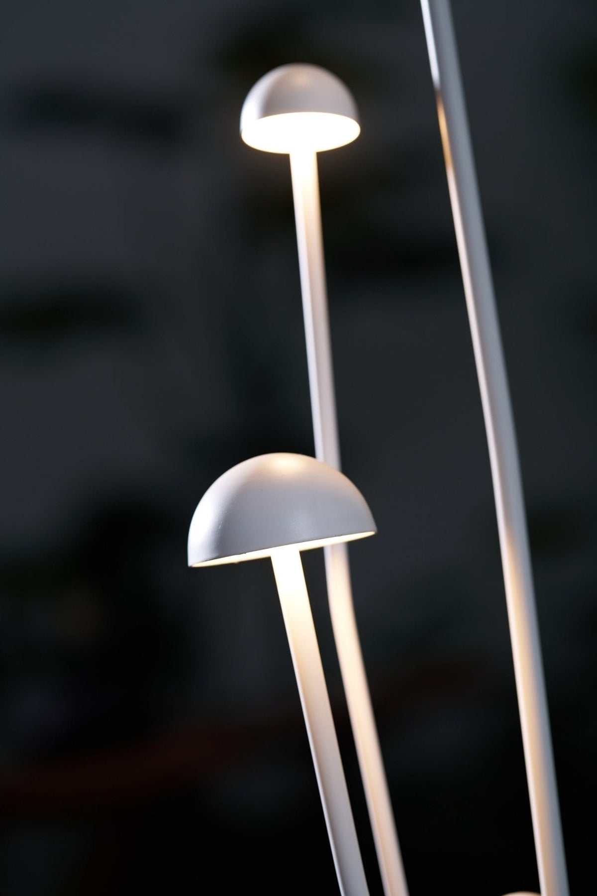 Nolv buitenwandlamp