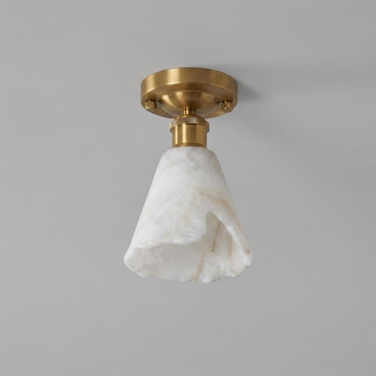 Oreleine Semi-Vlakke plafondlamp