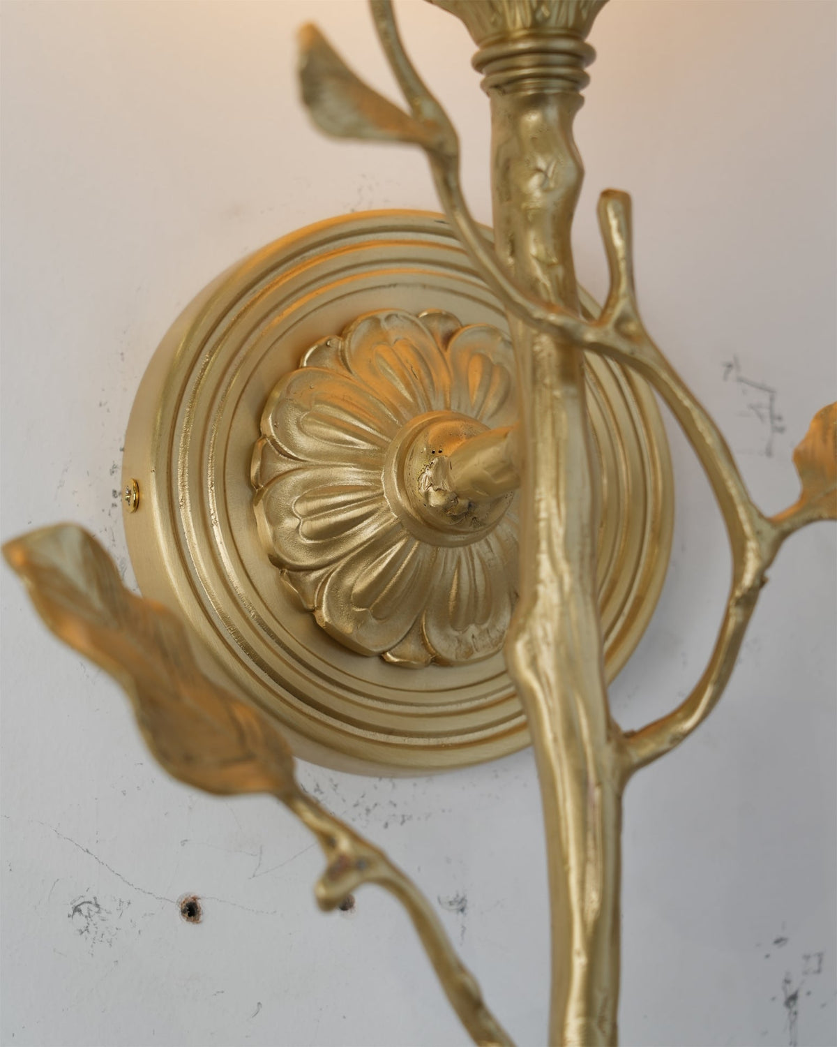Rivinaria wandlamp