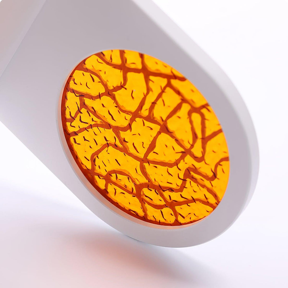 Caloaria wandlamp LED met aan/uit-knop