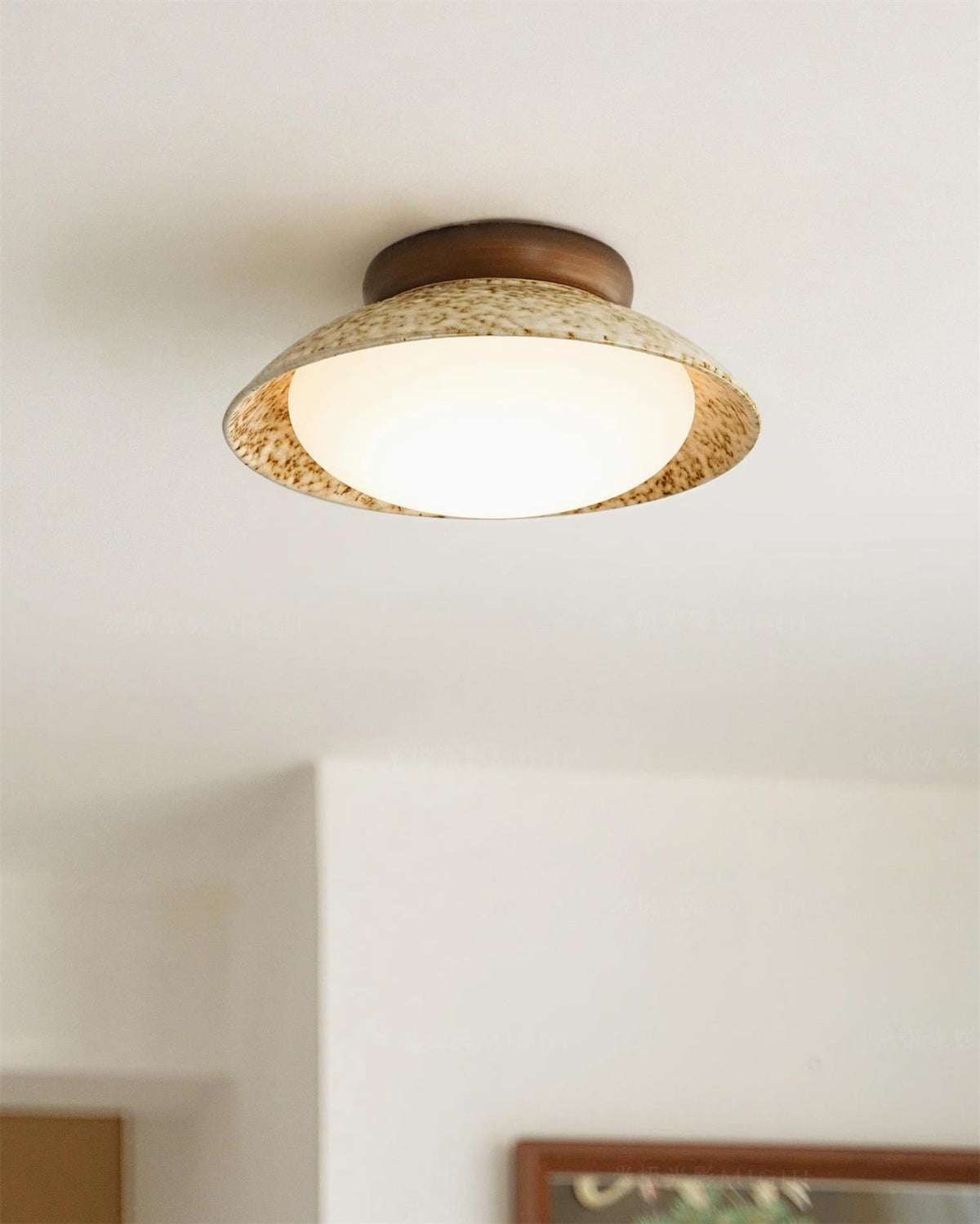 Liorenian plafondlamp