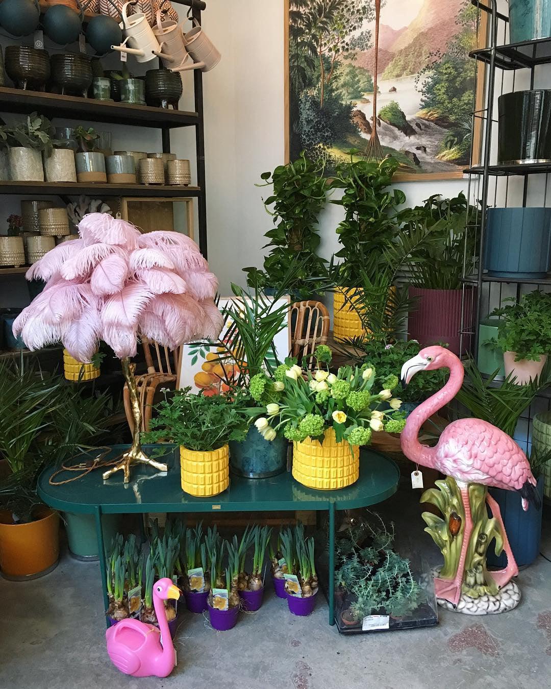 Ostrich tafellamp