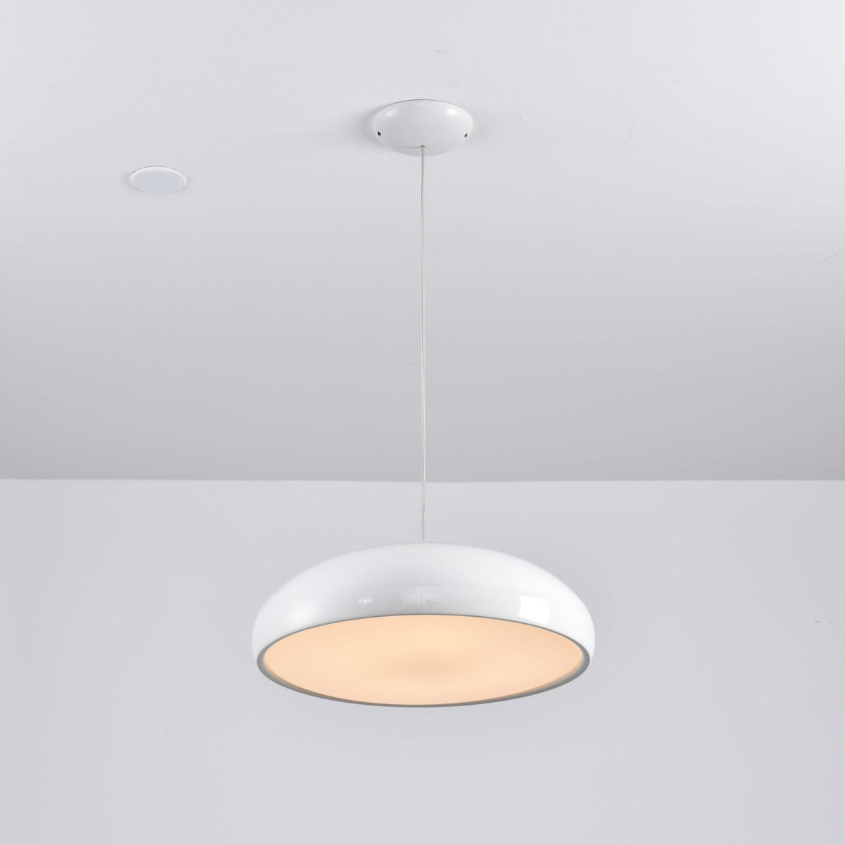 Renaraine Minimalistische hanglamp
