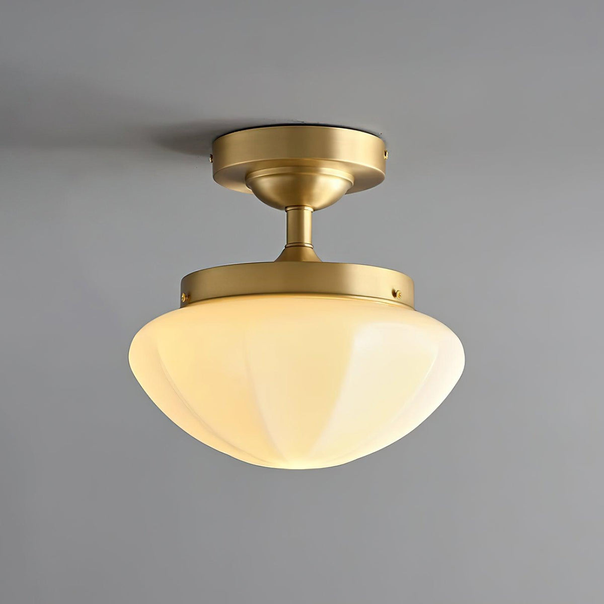 Lumoel plafondlamp
