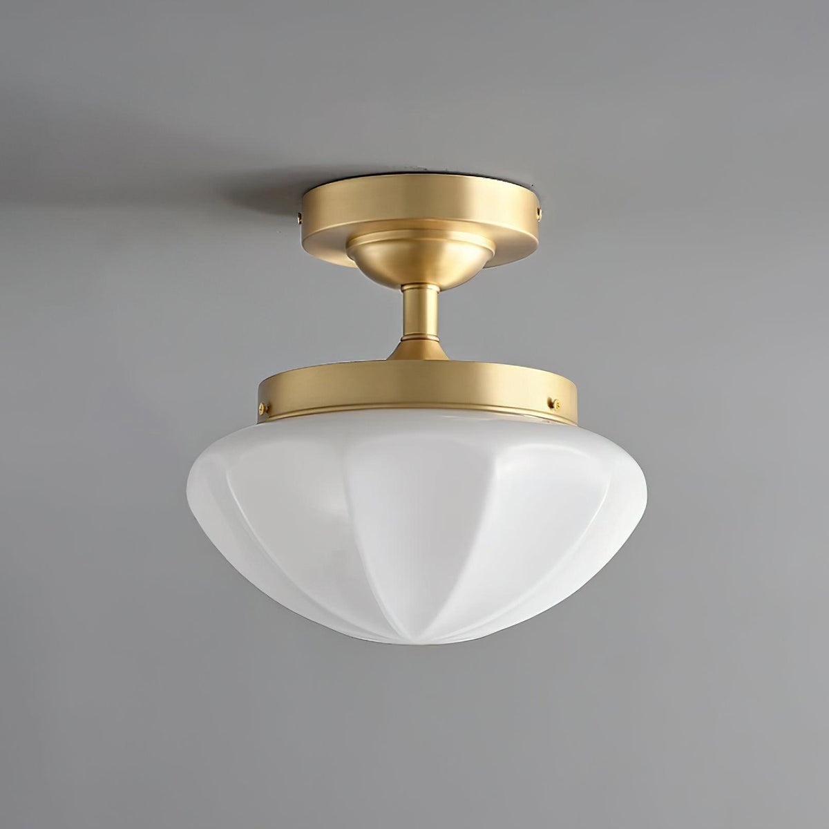 Lumoel plafondlamp
