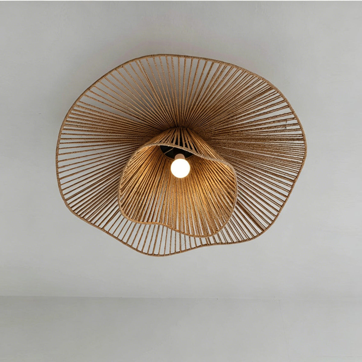 Liorariella plafondlamp