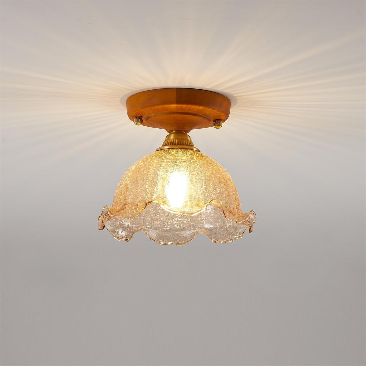 Elano plafondlamp
