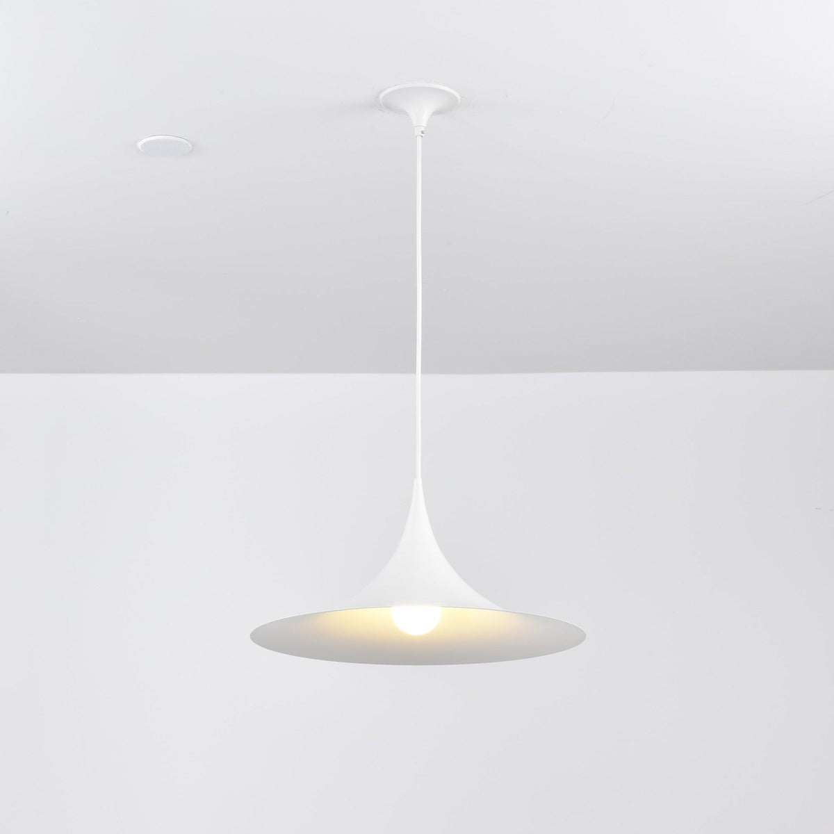 Lioreina Swag hanglamp