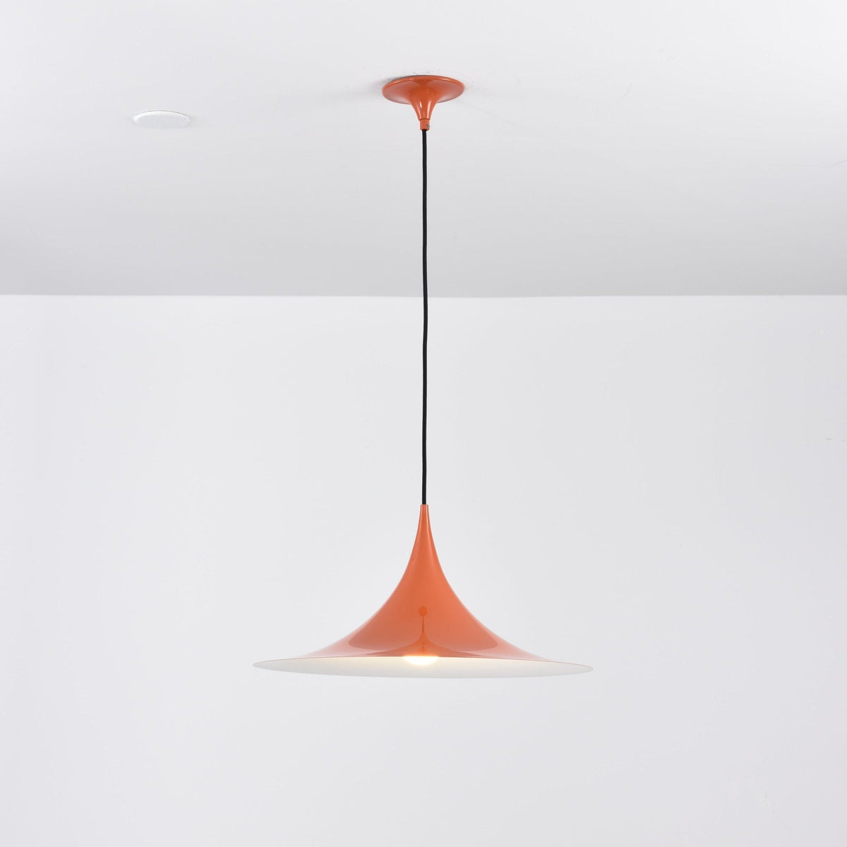 Lioreina Swag hanglamp