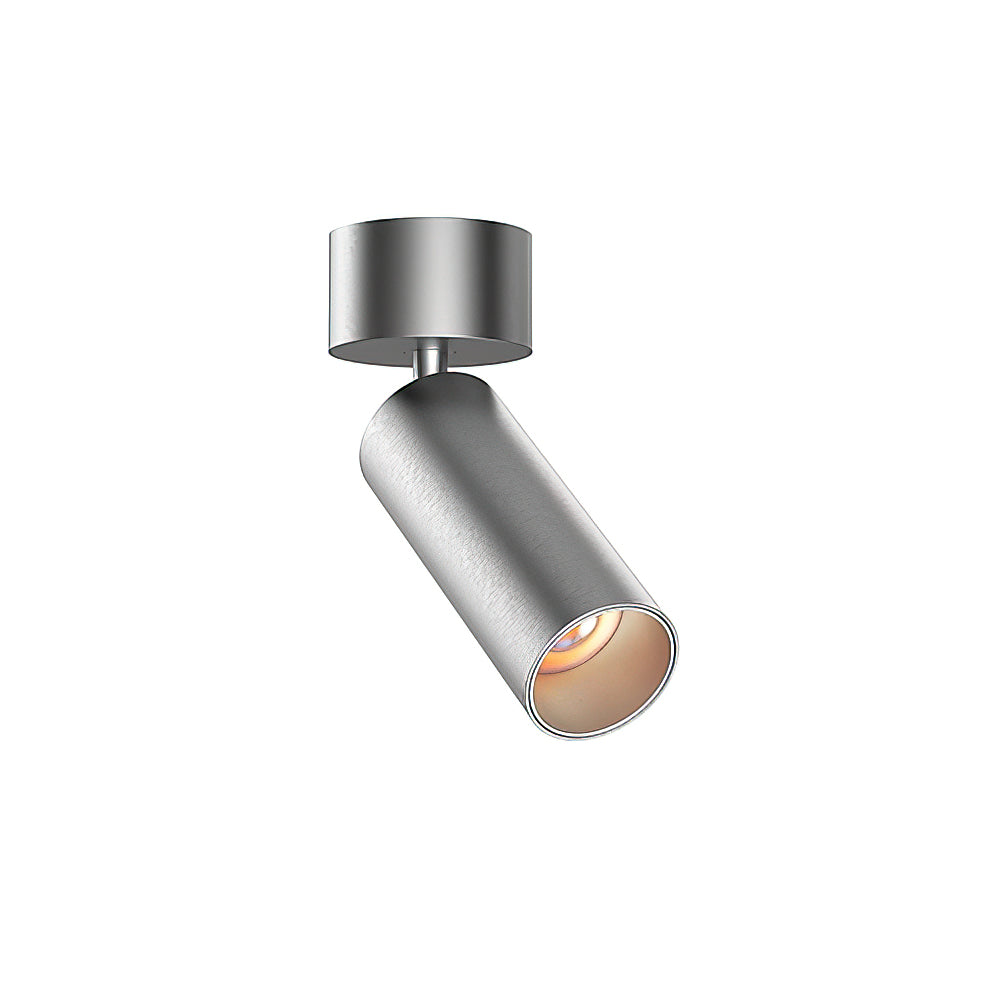 Riveia plafondspotlamp