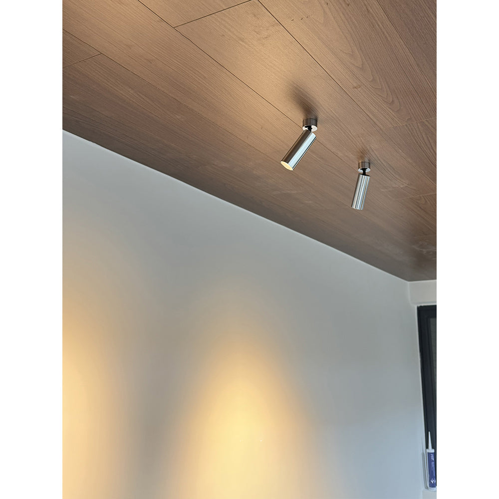 Riveia plafondspotlamp
