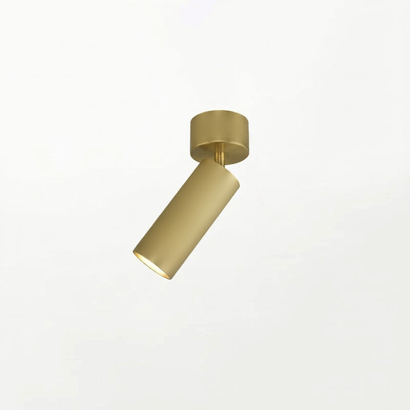 Riveia plafondspotlamp