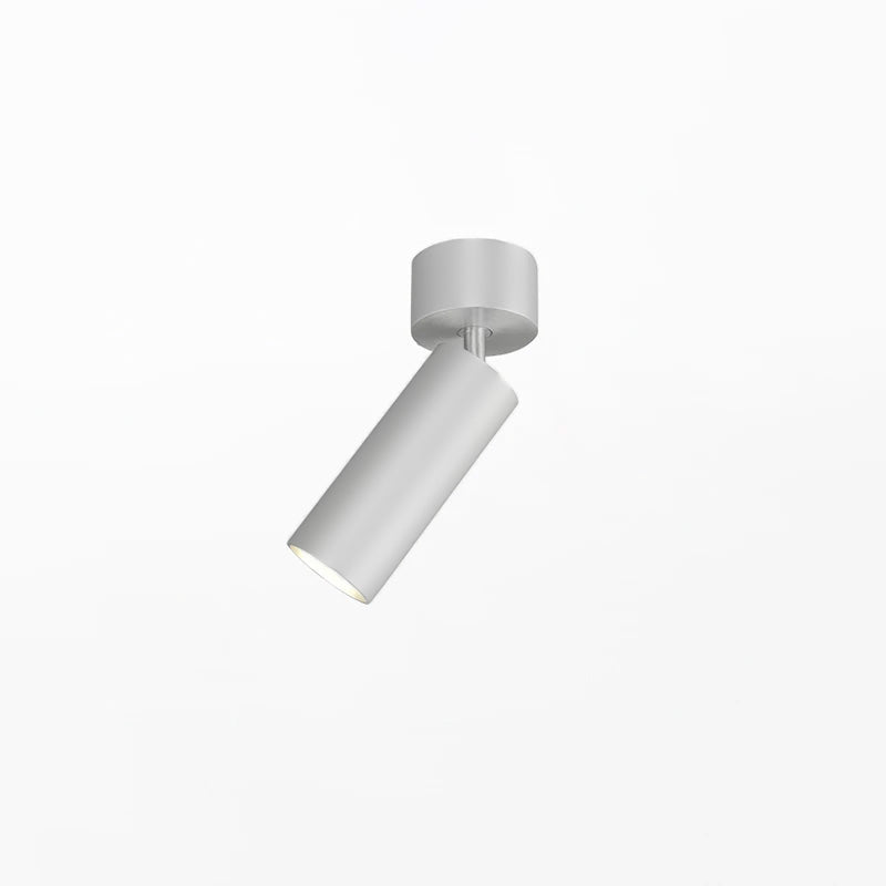Riveia plafondspotlamp